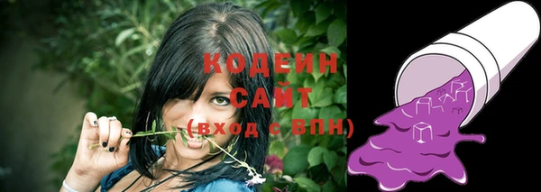 прущие грибы Куйбышев