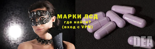 прущие грибы Куйбышев