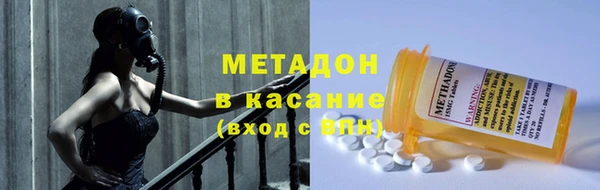 прущие грибы Куйбышев