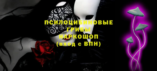 гидра Лабытнанги