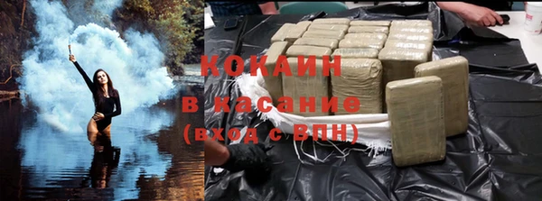 прущие грибы Куйбышев