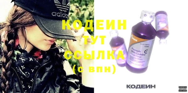 прущие грибы Куйбышев
