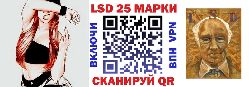 Марки N-bome 1500мкг  Купить закладки  Певек 